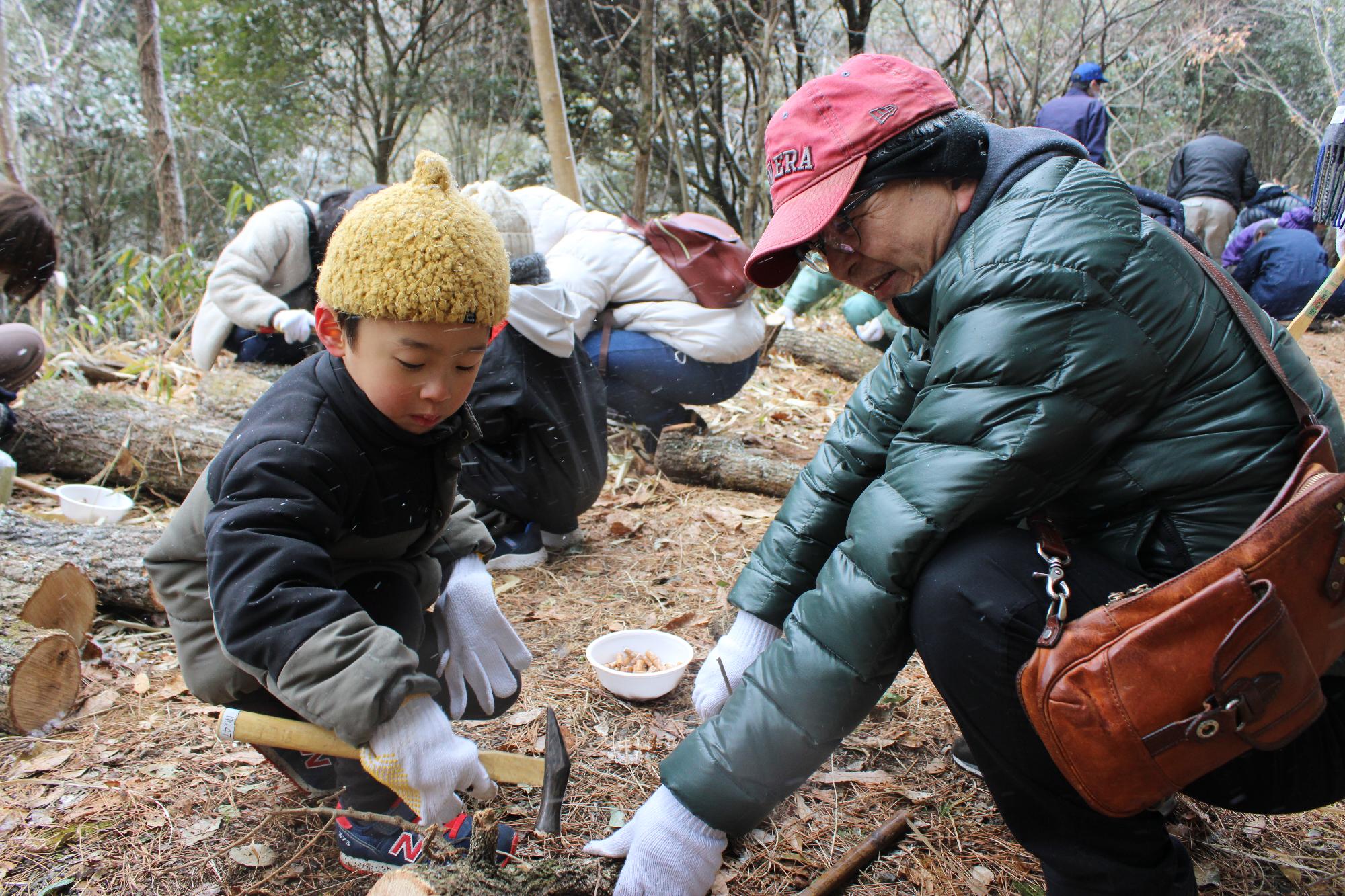 駒打ち体験の様子の画像