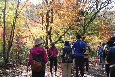 もみじ谷の画像