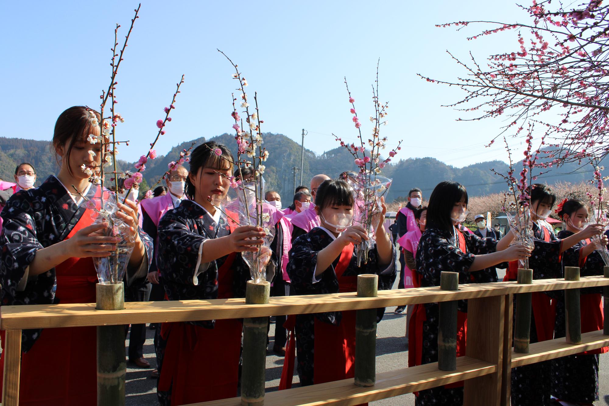 日田おおやま梅まつりの画像