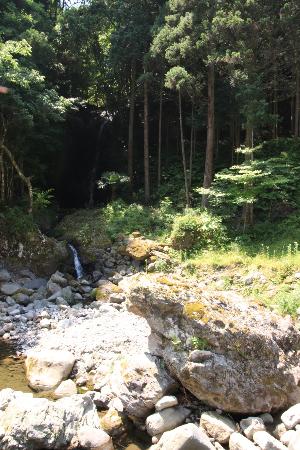 木弓の滝2