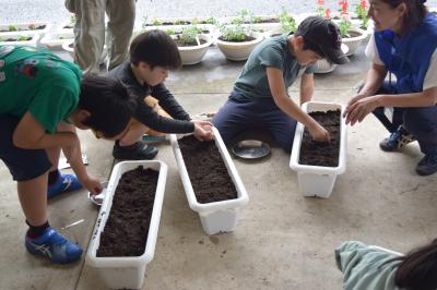 児童が種を植えている様子の写真