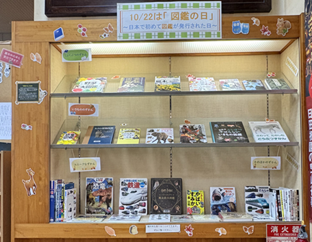 図書館特集展示画像